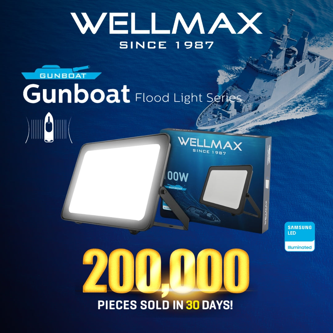 ويلمكس كشاف خارجي فلود 100 وات, أبيض بارد