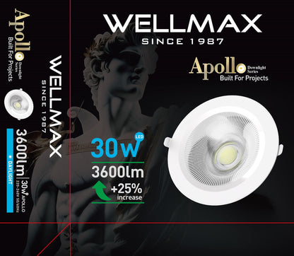 Wellmax Apollo Down Light 30 W - Cool White