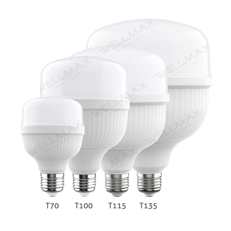 Wellmax LED T Bulb, Ballet Series, 40W