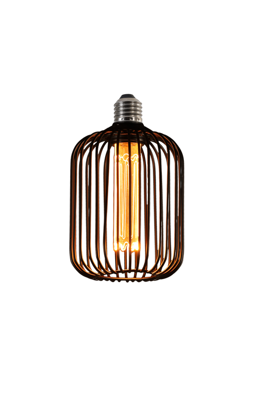 LED Decor Bulb (Industrial Cage Design): Professional Elegance & Modern Aesthetics