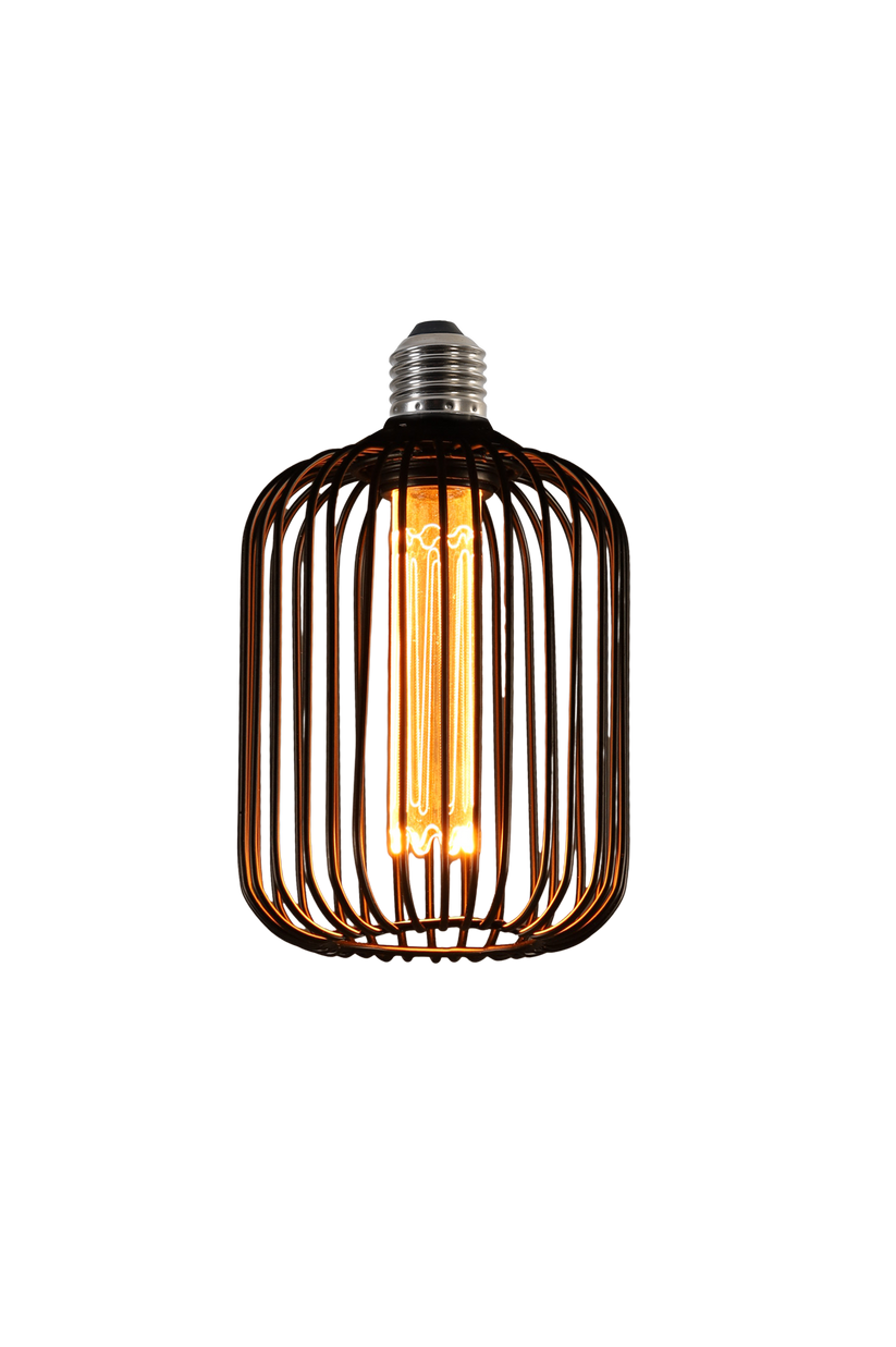 LED Decor Bulb (Industrial Cage Design): Professional Elegance & Moder ...